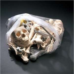  Small Bag of Bones   5 Pounds (BONES2) Health & Personal 