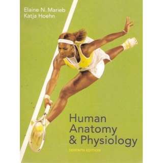  Human Anatomy And Physiology (9780805359107) Elaine 