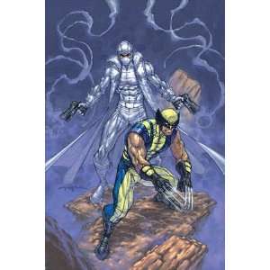   23 Cover Wolverine and Agent Zero by Andy Park, 48x72