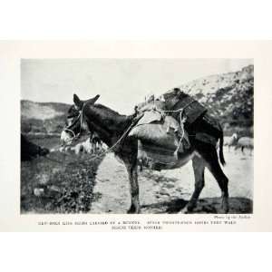   Mule Road Animal Wildlife   Original Halftone Print