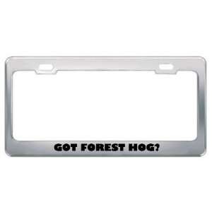 Got Forest Hog? Animals Pets Metal License Plate Frame Holder Border 