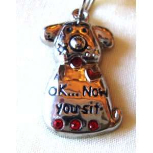  OKNow You Sit Pet Collar Charm Tag Lines By Ganz 
