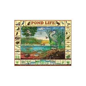  Pond Life Jigsaw Puzzle Toys & Games