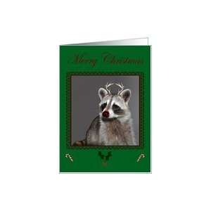  Christmas, Raccoon with antlers and candy canes Card 
