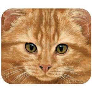  Orange Tabby Mouse Pad (Computer Items) (Cat Products 