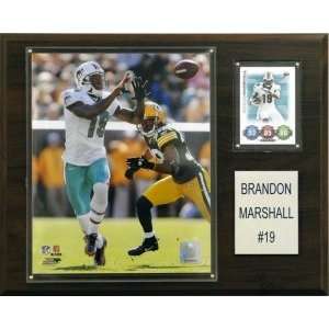 Miami Dolphins Brandon Marshall 12x15 Player Plaque  
