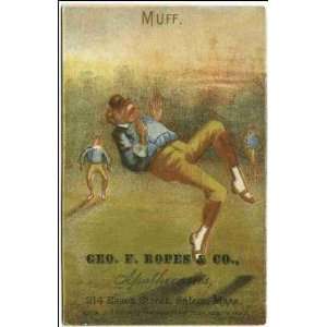   Six cards in color, from Ropes Apothecaries e. Muff