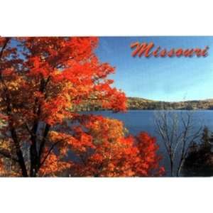  Missouri Postcard 12843 Fall Trees Case Pack 750 