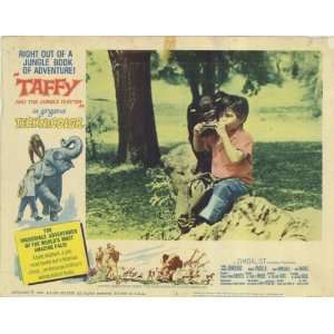 Taffy and the Jungle Hunter Movie Poster (11 x 14 Inches   28cm x 36cm 