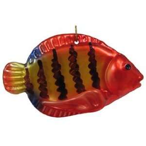   Tropical Fish   Flame Angelfish Christmas Ornament