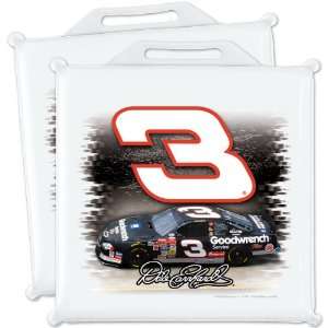  Wincraft Dale Earnhardt Seat Cushions   Set Of 2 Set Of 2 