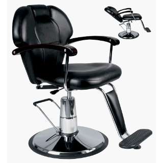  FYS2051 Utra All Purpose Styling Chair