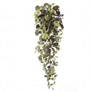  Artificial Wintergreen Leaf Ivy Vine Gathering