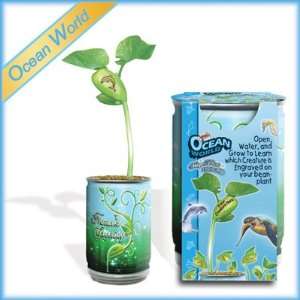 Ocean World Natures Greeting Plant Health & Personal 