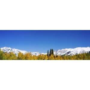  Mountains and Autumn Aspens in Kebler Pass, Colorado, USA 