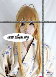 HIGH SCHOOL OF THE DEAD Cosplay wig costume  