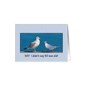  Birthday, 50th, Gull and Tern Birds Card Toys & Games