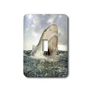   Atlantic Ocean   Light Switch Covers   single toggle switch Home