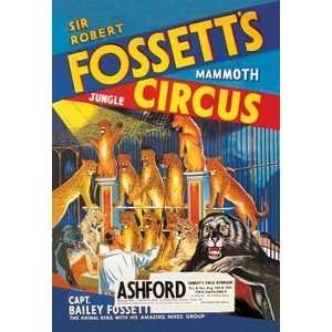 Sir Robert Fossetts Mammoth Jungle Circus   Paper Poster (18.75 x 28.5 