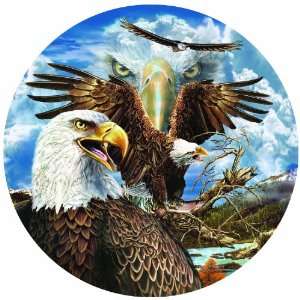   13 Eagles 1000pc Jigsaw Puzzle by Steven Michael Gardner Toys & Games