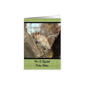  Twin Sister Grey Squirrel Christmas Card Card Health 