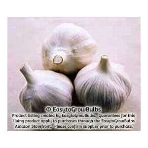  Garlic Spanish Roja   varies, 1/2 lb. weight   1/2 lb. bag 