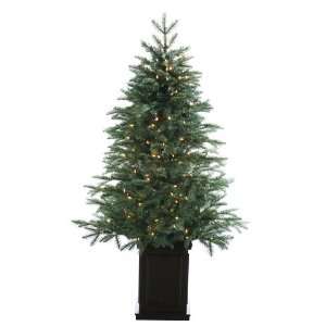 Blue Spruce Pine(Pe) Tree X314 W/200 Clear Lights in Wood Box Blue 
