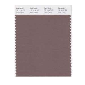  PANTONE SMART 18 1312X Color Swatch Card, Deep Taupe