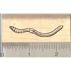  Earthworm Rubber Stamp Arts, Crafts & Sewing