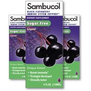  HBI   Sambucol Sugar Free, 4 oz