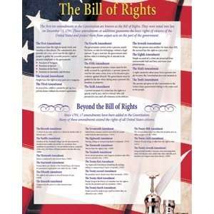  CHART 22X28 BILL OF RIGHTS Toys & Games