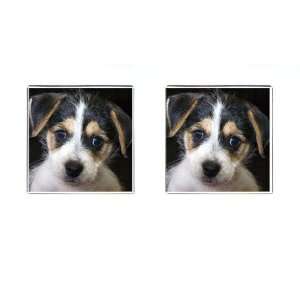  Jack Russell Puppy Dog Square Cufflinks F0702 Everything 