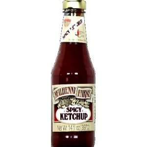Tabasco Ketchup,Spicy 14 oz. (Pack of 12)  Grocery 
