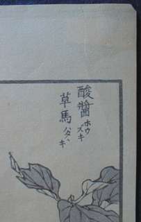 Japanese woodblock print 9.8 inches x 6 inches.