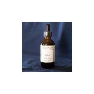  Catnip Tincture   16oz