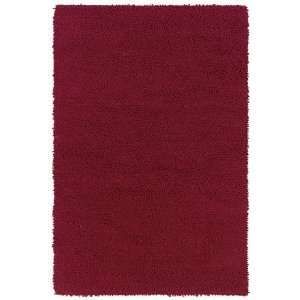   Rizzy Splendor SR 440 Red 2 Sample Swatch Area Rug