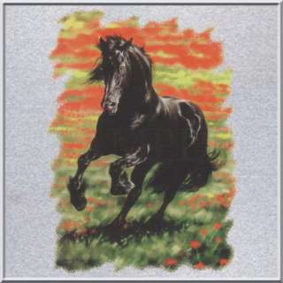 Bold & Beautiful Black Stallion Horse Sweatshirts KIDS  