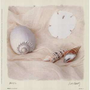  Judy Mandolf Shells II 7x7 Poster Print