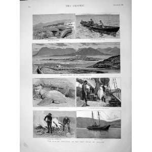  1892 Fishing Ireland Kerry Canoes Innishboffin Harbour 