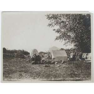  Our camp in Southern Utah 1903   on road up Virgin River to Zion 