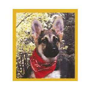  Magnetic Bookmark German Shepherd Pup w/Bandana, Beautiful 