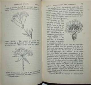 Descriptive & Physiological Botany, Henslow, 1836, Darwins mentor 