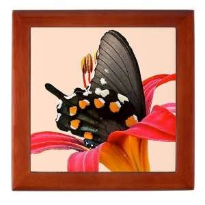 Swallowtail Butterfly, Red Lily, Photography Keepsake Box 