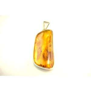  PA0811 Amber Pendant (Natural Shape wt Insects) Jewelry