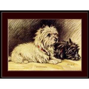    Picture Print Cairn Terrier Puppy Dogs Art 