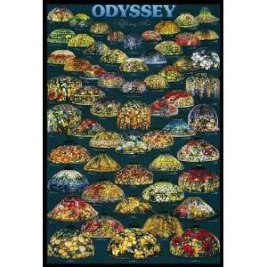  Odyssey Lamp Poster 