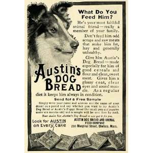  1912 Ad Austins Dog Bread Collie Dog Treats Sample 