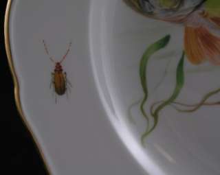   MEISSEN PLATE GERMAN PORCELAIN CA.1895 HAND PAINTED FISH & INSECT