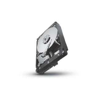 Seagate Constellation ES ST31000524NS 1TB SATA2 7200rpm Hard Drive 