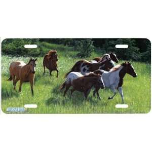 3529 Freedom Run Horse License Plate Car Auto Novelty Front Tag by 